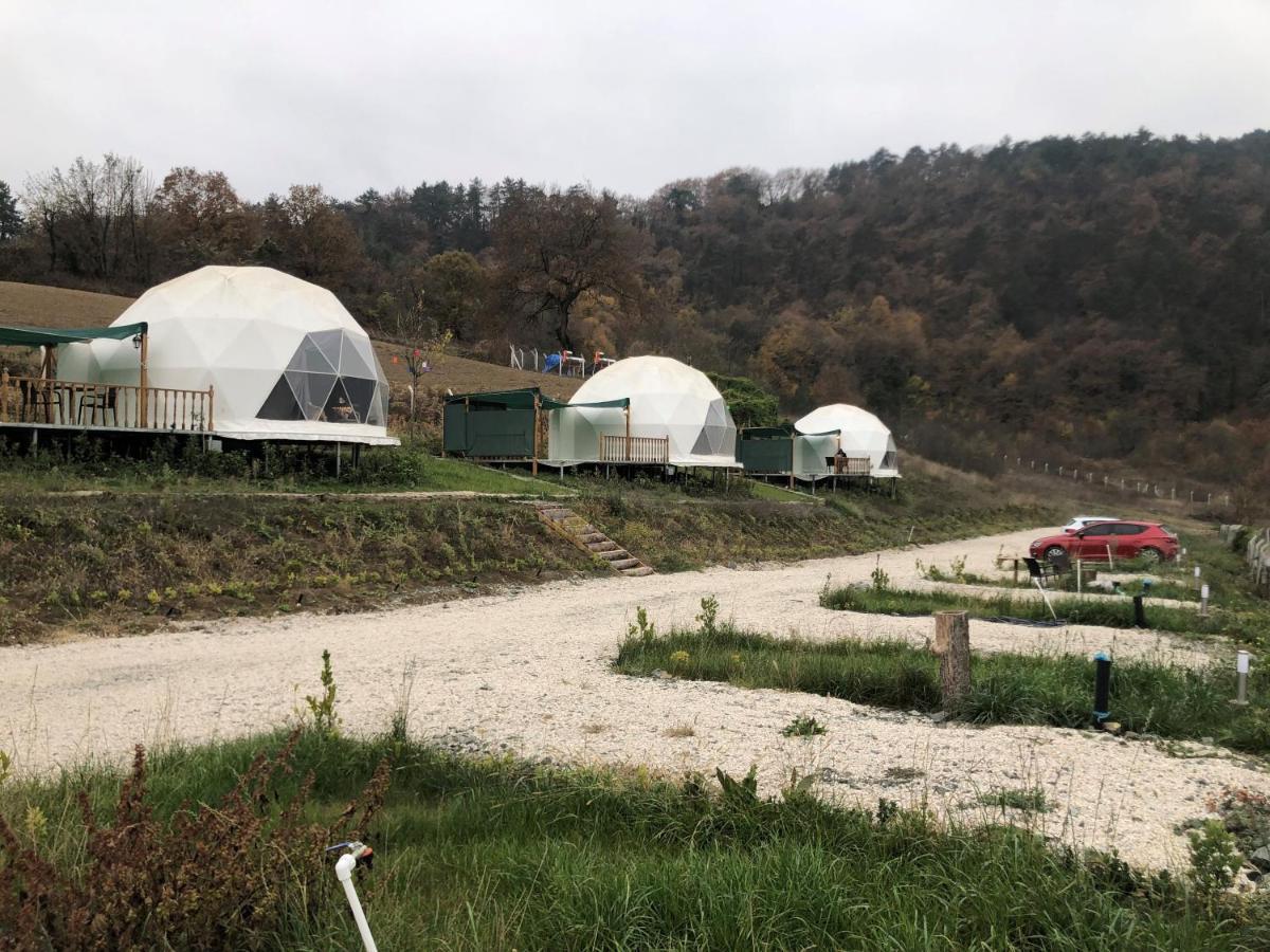 Hotel Dengekoru Wildlife & Glamping Mudurnu Exteriér fotografie